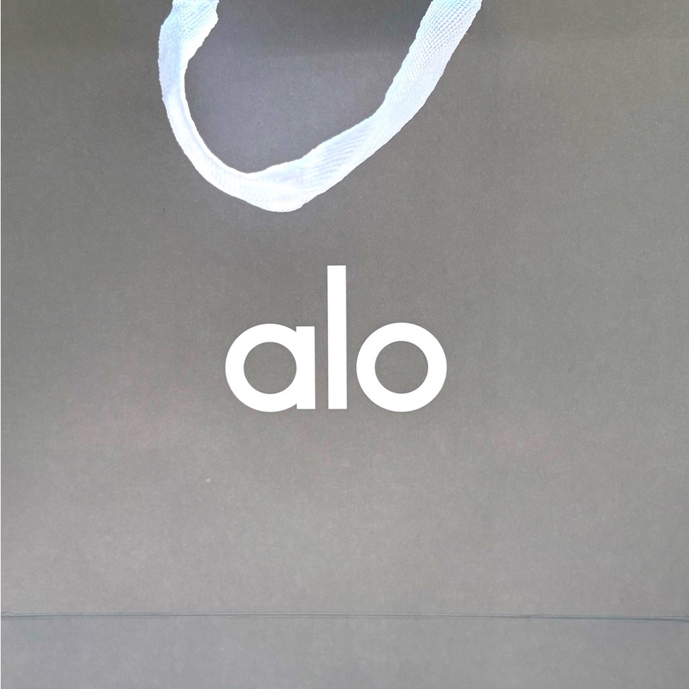 ALO Yoga Gray Storage Bag